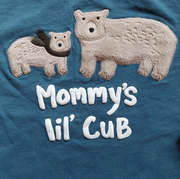 Gymboree 5T bear / hedgehog tees - Picture 2 of 16